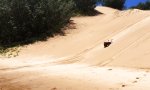 Funny Video : Etwas verschätzt beim Dünensurfen