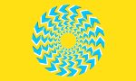 Lustiges Video - Optische Illusionen