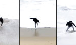 Funny Video - Mit dem Handy vor den Wellen davonrennen