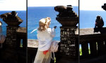 Funny Video : Der Affe und das letzte Urlaubsbild