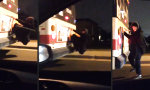 Funny Video : So spart man sich das Busticket