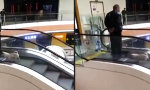 Lustiges Video - Gassigehen für ganz schlaue Faule