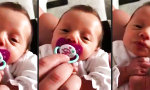 Lustiges Video : Moin Papa