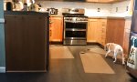 Funny Video : Küchen-Verteidigungslinie brechen