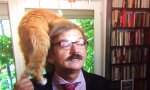Funny Video : Kamerageile Akademikerkatze
