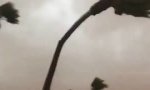 Movie : Der Sturm gewinnt