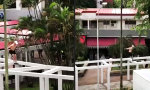Lustiges Video : Mal schnell über die Promenade hopsen