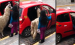 Lustiges Video : Taxi-Gäste in Peru