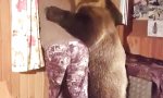 Lustiges Video - Auf der falschen Seite des Fensters