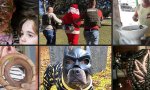 Fun Pic - Donnerstag Fun PicDump #260