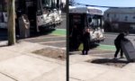 Funny Video : Öffentliches Fluchtfahrzeug