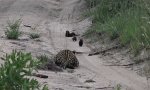 Movie : Neugierde trifft auf Ungeduld