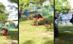 Funny Video : Hilfe naht!