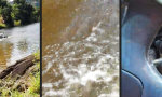 Movie : Auto waschen auf Aussie-Art