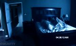 Paranormal Kitty