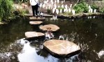 Funny Video - Takeshis Dackel