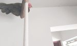 Exterminator auf dem Bauernhof