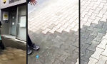 Funny Video : Ich hab die Nerven nicht mehr dafür...