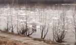 Flussausfahrt im russischen Frühling