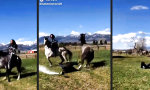 Funny Video : Sekt köpfen beim Reiten