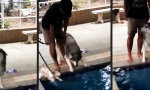 Lustiges Video - Kein Bock auf Schwimmunterricht