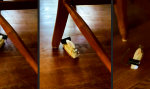Roomba Marke Eigenbau