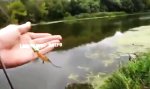 Lustiges Video - Entspannt angeln in Russland