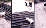 Movie : Technik A vs Technik B