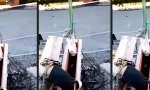 Lustiges Video - Bungee-Hämmern