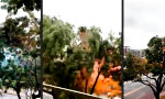 Funny Video - Laserschwertkampf in Baumkrone