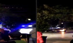 Lustiges Video : Alles völlig normal hier