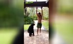 Funny Video - Mit Schimpansen um die Wette hangeln