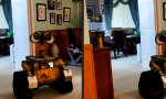 Movie : Wall-E!