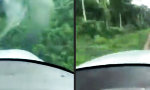 Funny Video - Im Dschungel landen
