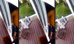 Movie : Mit Flippen Flöppen auf eisigem Grund