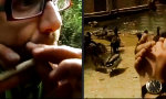 Movie : Der Alles-Bläser