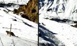 Funny Video - Schneeleopard traut sich nah ran
