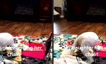 Funny Video - Gottes Proto-KI