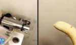 Funny Video : Wasserstrahlschneidduschkopf