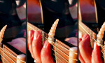 Lustiges Video : Der Klapperschlangen Blues