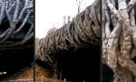 Lustiges Video : Neue Brückenpfeiler