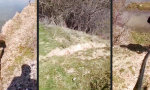 Lustiges Video : Angewante Physik