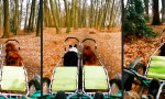 Lustiges Video : Wenn du in deinem letzten Leben römischer Centurion warst