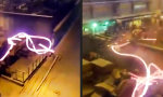 Funny Video : Die asiatische Blindschleiche