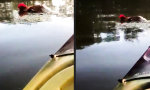 Movie : Definiere Wasserhahn