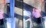 Funny Video - Wieder nur 500 Meter mit einer Tankfüllung