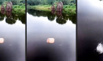 Lustiges Video : Psychedelische Musik in Bildern