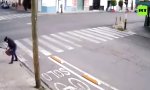 Movie : Zebrastreifen kennt keine Toleranz