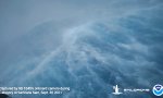 Funny Video - Hinein in’s Vergnügen
