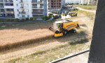 Funny Video - Hochzivilisierte Feldarbeit